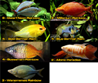 Starter Package for 60 to 80 Gallon Aquarium